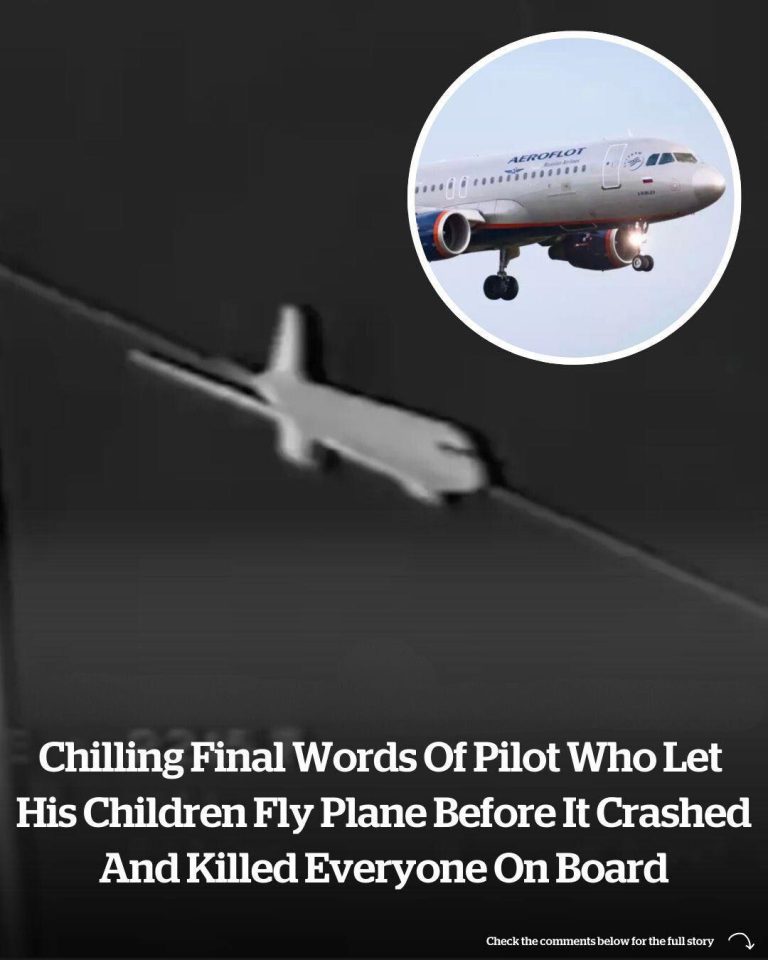 The Pilot’s Haunting Last