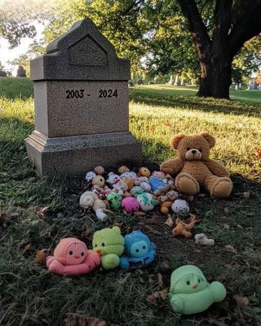 Grieving Mother Finds Baby Toys on Her 21-