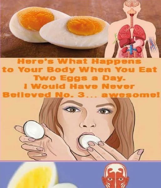 What happens if you eat two eggs a