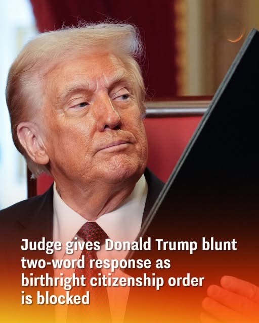 Judge gives Donald Trump blunt two-word