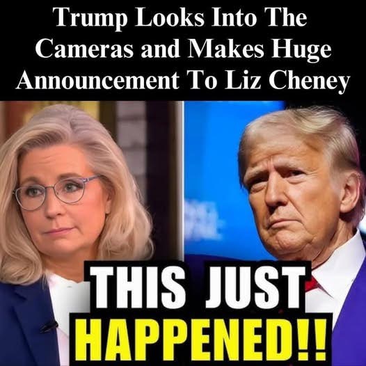 Why Are We Helping Liz Cheney?’: