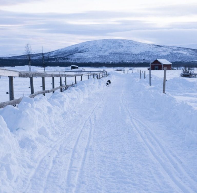 Hazardous Winter Storm Warnings I.ssued for 12 US