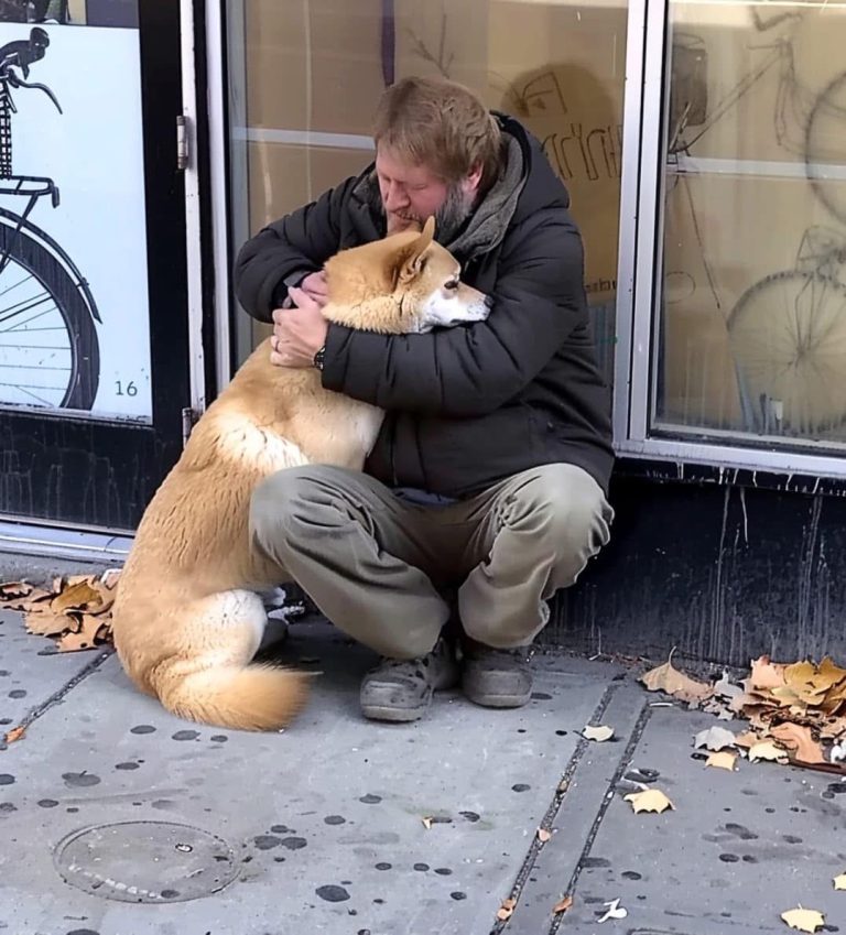 Dog Visits Closed Store Every Day, Then