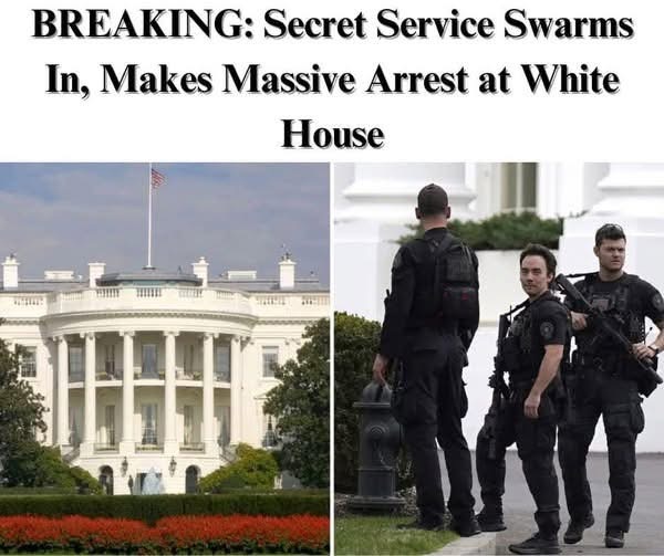 Secret Service Responds as Man Scales