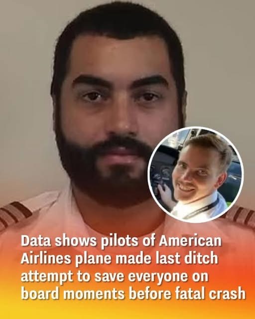 Data Indicates That The Pilots Of