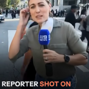 Journalist Injured While Covering Immigration Protests in