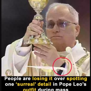 Internet reacts to Pope’s ‘surreal’ outfit detail