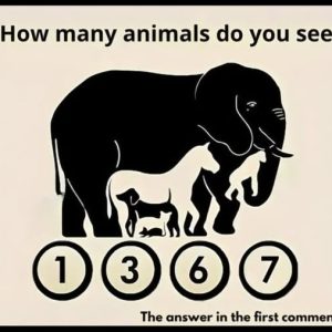 Can You Spot All the Hidden Animals in This Image