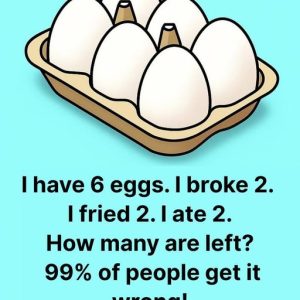 Viral test for missing eggs and few solve