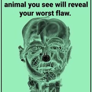 This visual test reveals your ‘worst flaw’