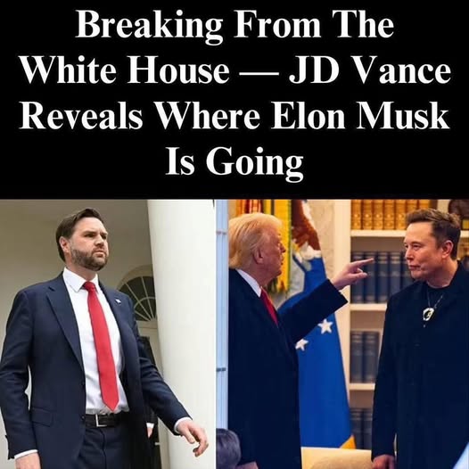 JD Vance Responds to Musk Exit Rumors