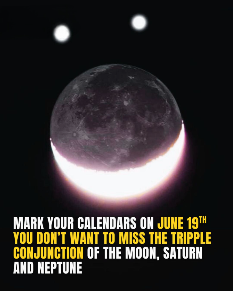 Skywatchers, March Out