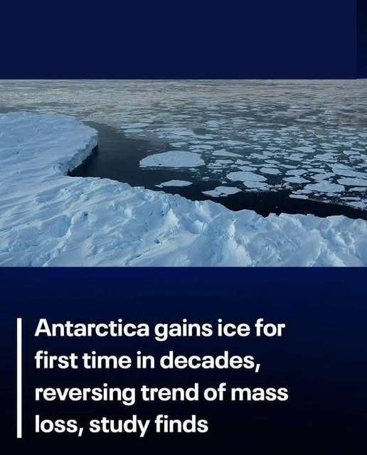 Antarctica sees first ice gain in decades