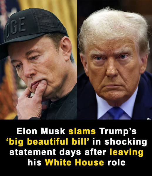 Musk explodes over Trump’s ‘pork-filled’