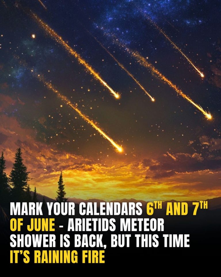 Scientists Alert Skywatchers To