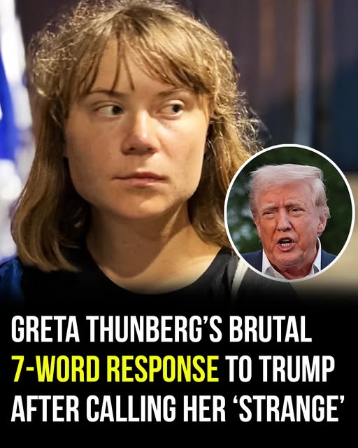Greta Thunberg’s blistering response to Donald Trump after…