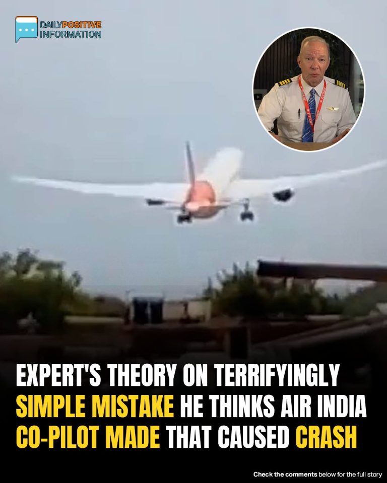 Pilot’s Split-Second Decision May Have Caused