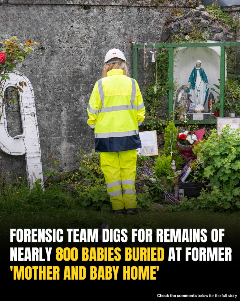 Forensic Excavation Begins