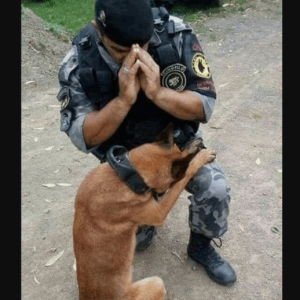 A Stranger Captured Me Praying With My Dog