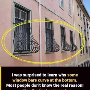 Why Some Window Grills Have a Curve