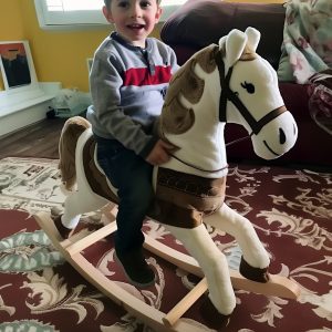The Rocking Horse Secret That Sent Me to Court