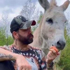 I MOVED TO THE MOUNTAINS TO BE ALONE