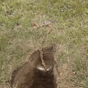 I Discovered a Chain Hidden Beneath My Mailbox