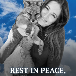 Mikayla Raines, Creator Behind Save a Fox, Passes Away