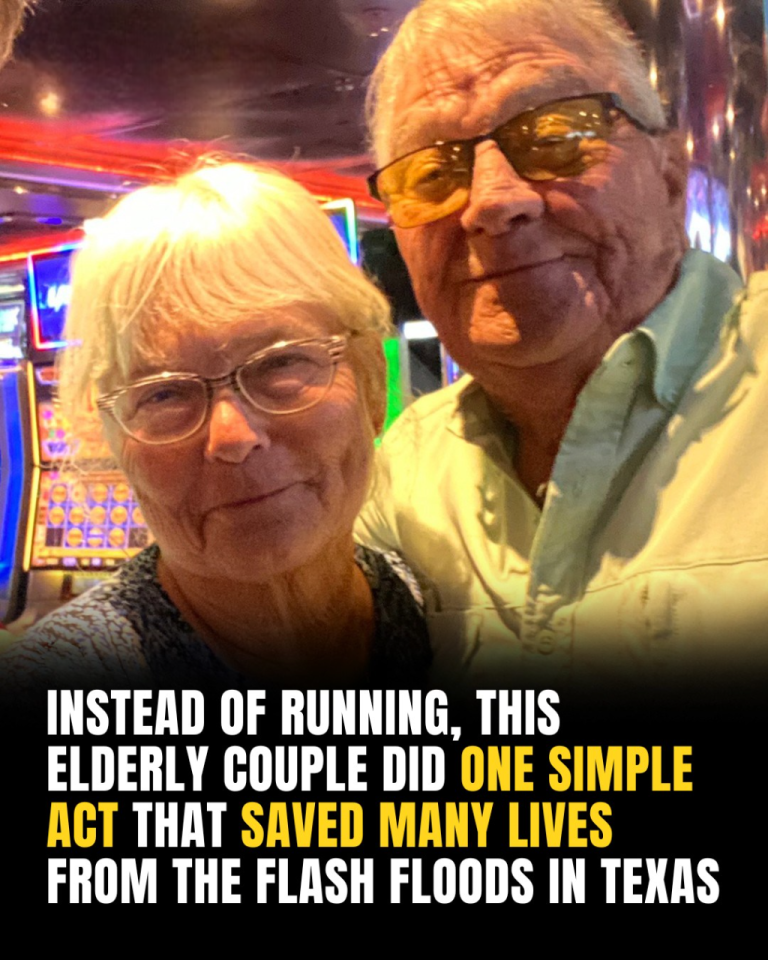 Quick-Thinking Couple Honk Their Way