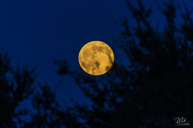 Get Ready: Buck Full Moon Is Coming