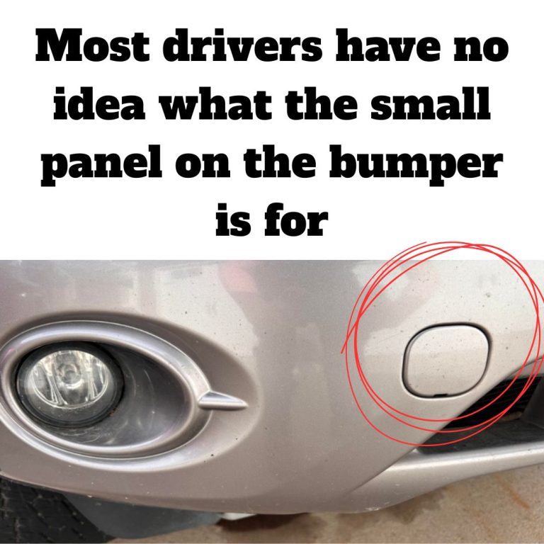 Small Panel on Bumper: Why It’s There
