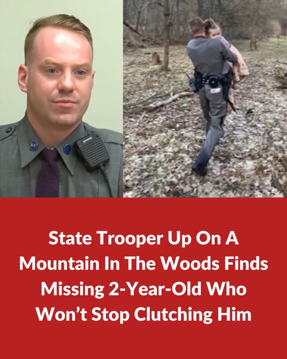 State Trooper Up On A Mountain In The Woods