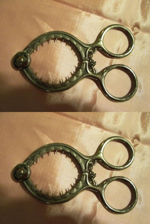 How to Use This Strange-Looking Kitchen Tool — Explained Simply