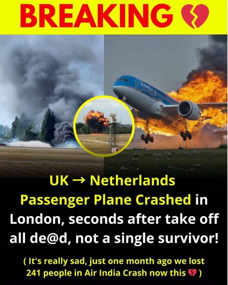 Airport remains shut down following fi.reball plane crash