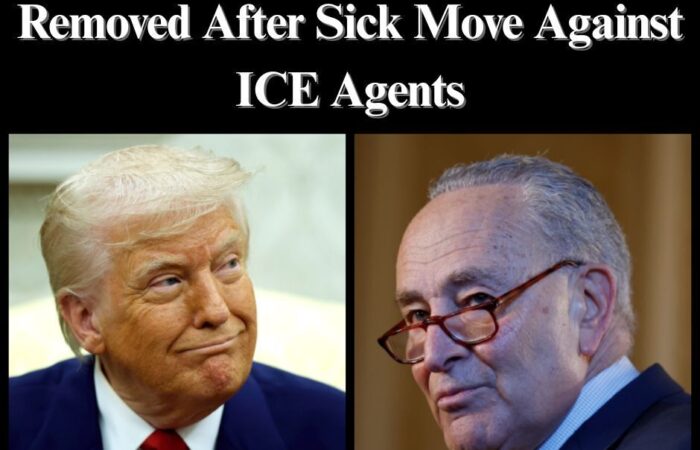 Chuck Schumer Facing Calls To Be Removed After…