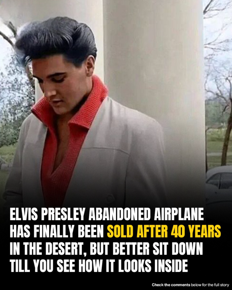 RecordElvis Presley’s Private Flight From 1962