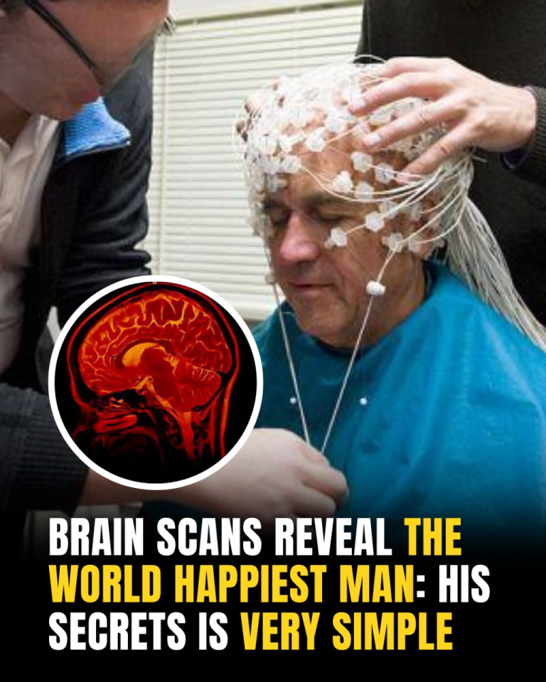 Brain Scans Reveal The World Happiest Man