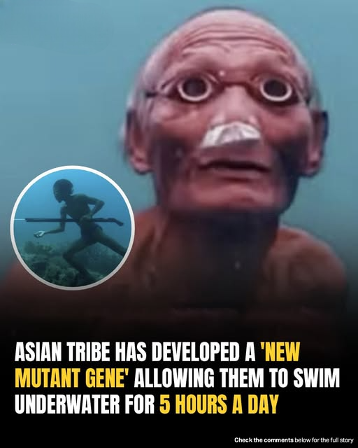 Scientists Discover ‘Mutant Gene’