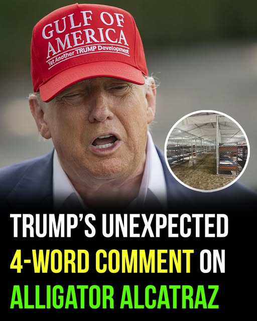 Trump makes a surprising and sarcastic comment about