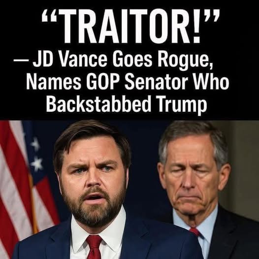 VP JD Vance Breaks Senate Tie To Advance $9.4 Billion