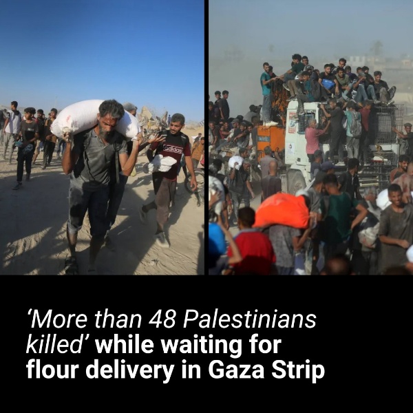 48 Palestinians killed