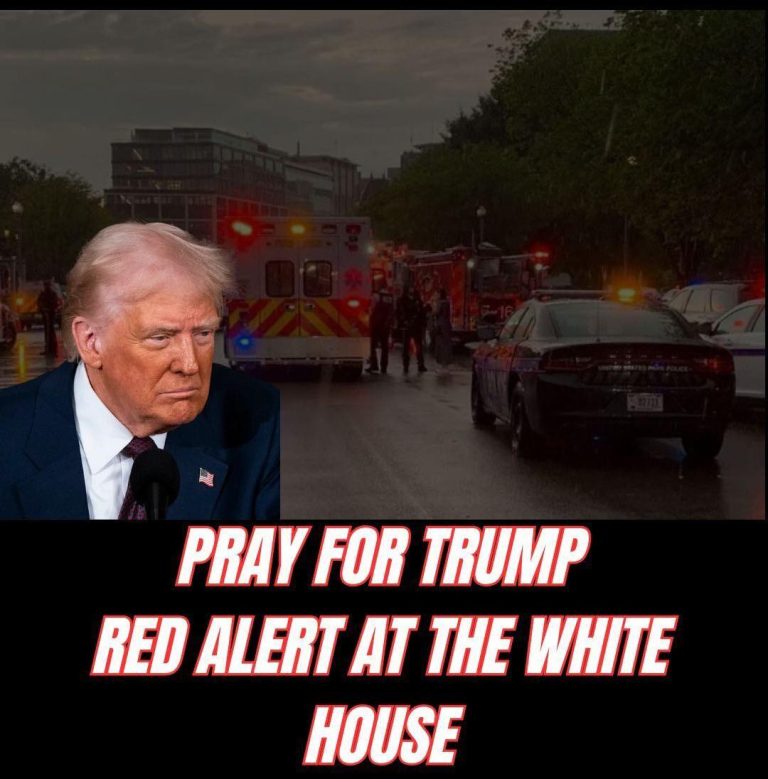 When Emergency Powers Meet Pol