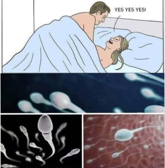 Surprising Study Findings About Intimat