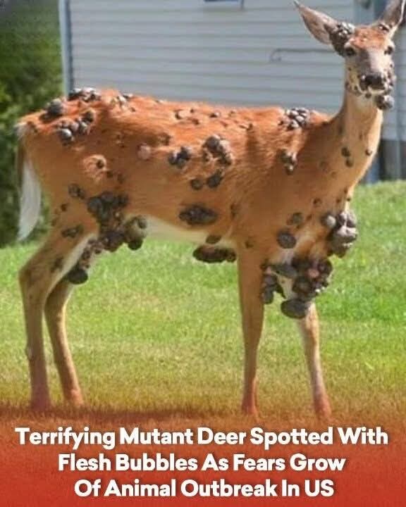 Terrifying Mutant Deer Spotted With