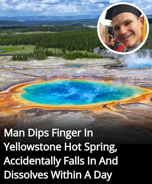 Man Dips Finger In Yellowstone Hot Spring,