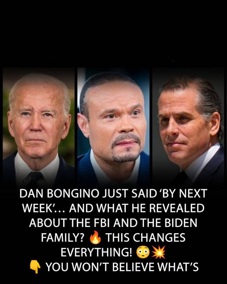 IRS Weighed Hunter Biden Felony Charge For Raiding