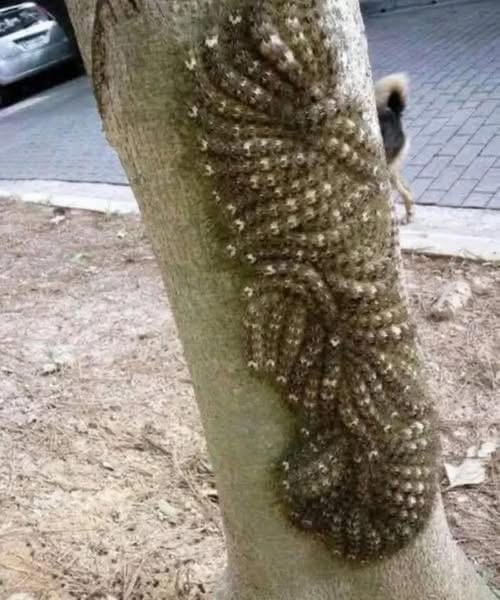 What my daughter nearly touched could have cost