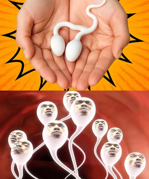 Benefits of Natural Foods for Reproductive Health