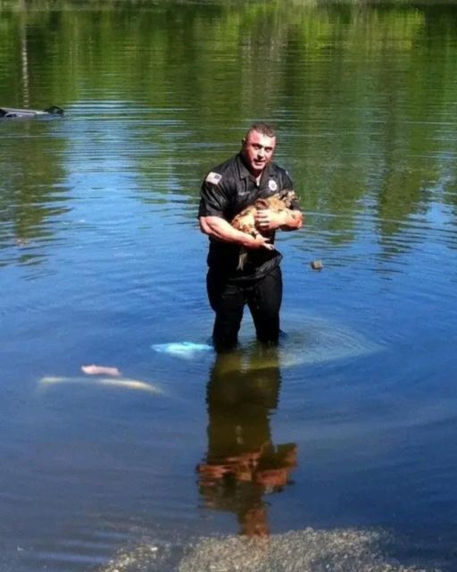 The Day Courage Jumped Into The Water