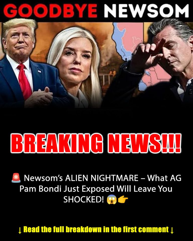 Trump’s DHS Cracks Down In LA, Illegals Rounded Up in Bold Operation